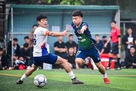 王后区举办世界杯免费观赛派对活动